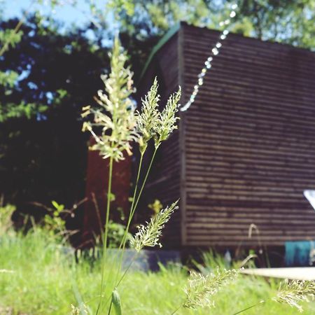 Tiny House Nouvelle Annonce Boho Ocean Hotel Naujac-sur-Mer Kültér fotó